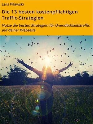 cover image of Die 13 besten kostenpflichtigen Traffic-Strategien